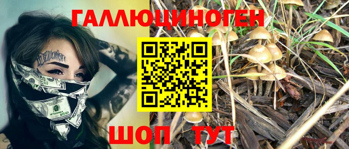 Березники  Псилоцибиновые грибы ЛСД  где купить   Вход с VPN 